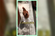 吃瓜群众纯属娱乐,纯属娱乐，揭秘娱乐圈幕后故事