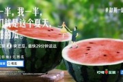 娱乐吃瓜酱 文案,揭秘娱乐圈那些不为人知的幕后故事